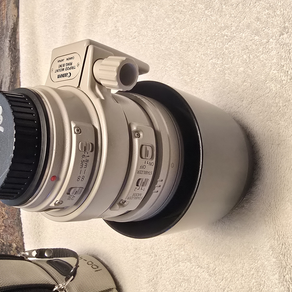 Canon 100-400mm White Camera Lens